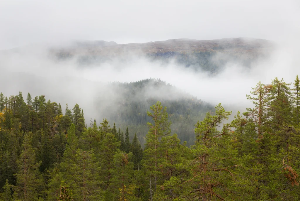 DanielPedersen_MG_6717