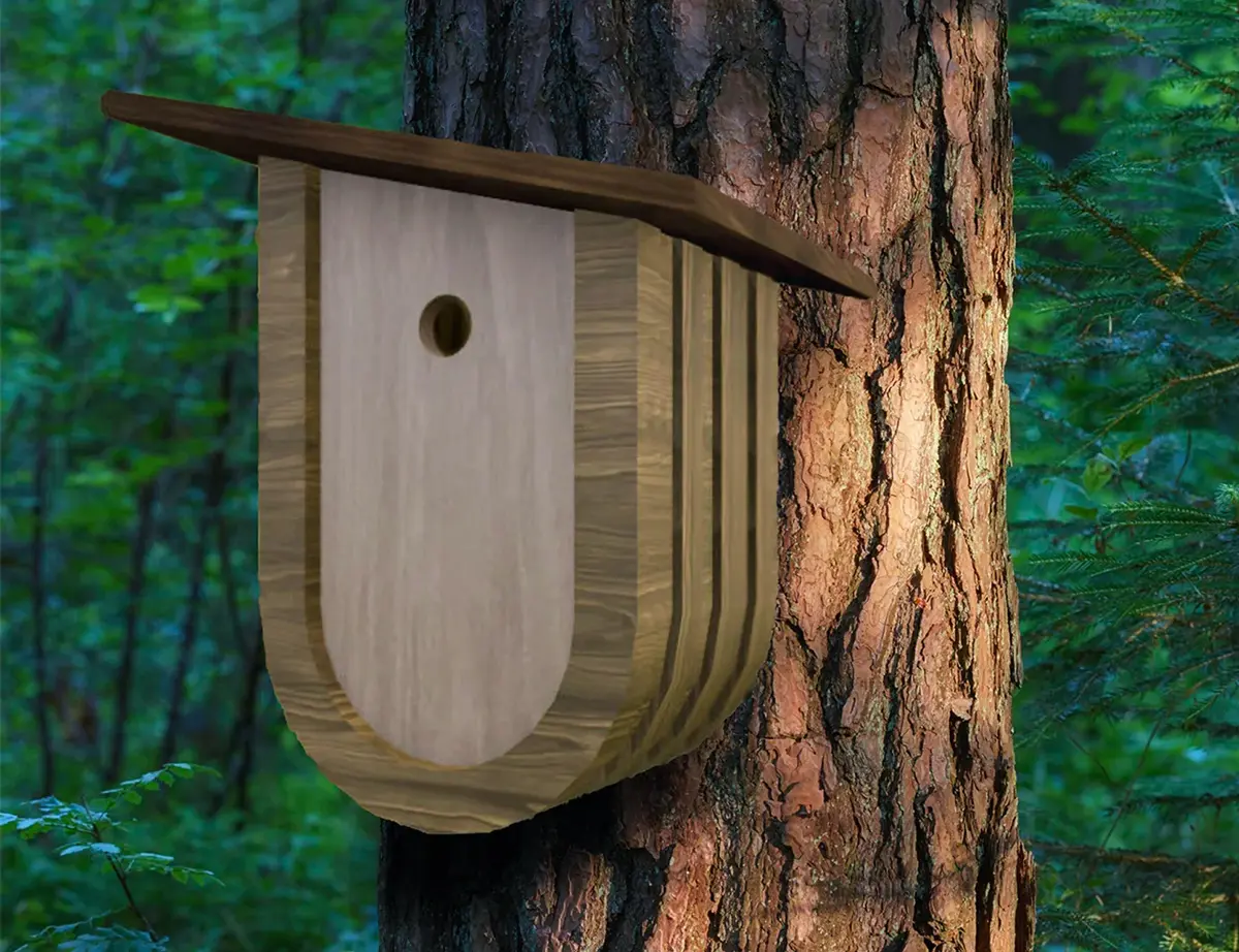 bird-box