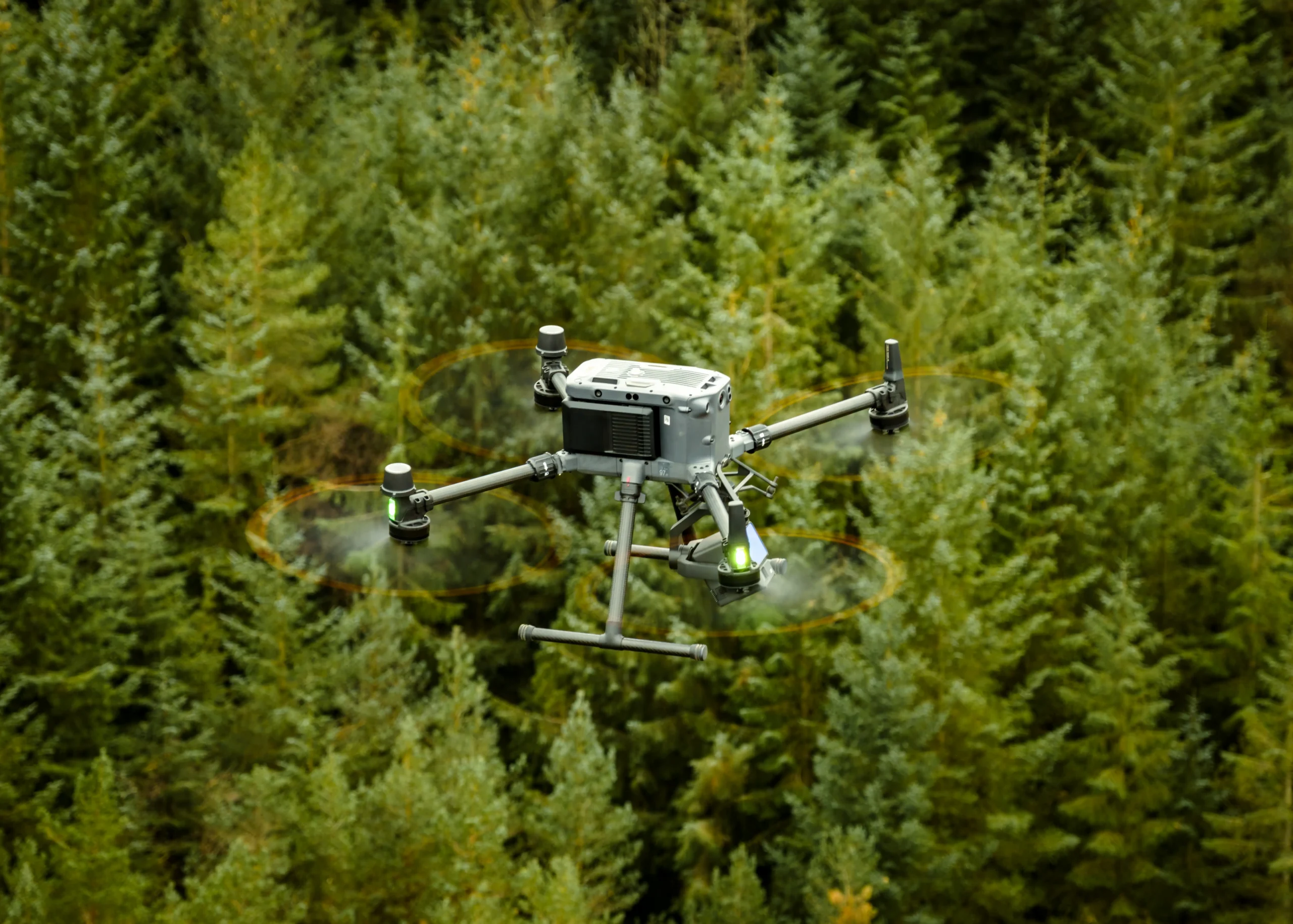 drone in forest